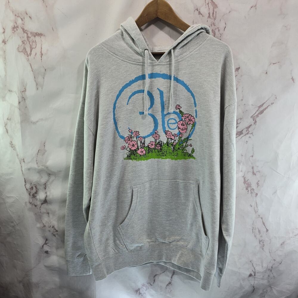 Third Eye Blind Hoodie Mens XL Womens 2XL Gray Pullover Sweatshirt Hooded
